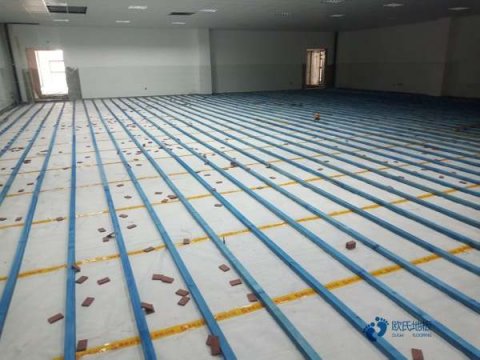 体育运动木地板品牌大全